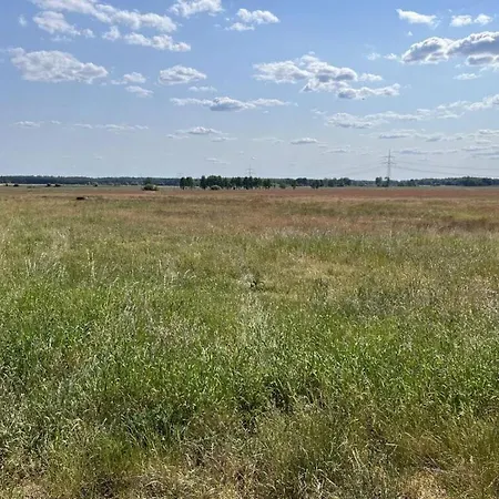 Tonn Modern Retreat Neustrelitz